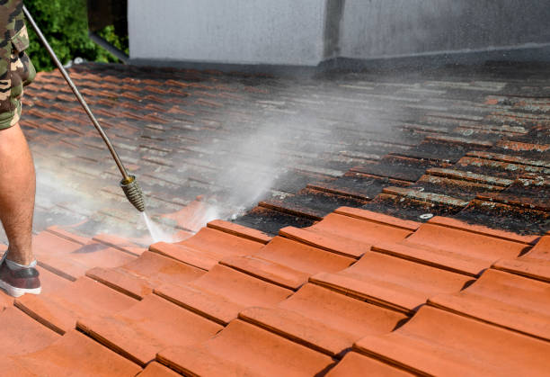 Best Roof Power Washing Services  in Pahala, HI